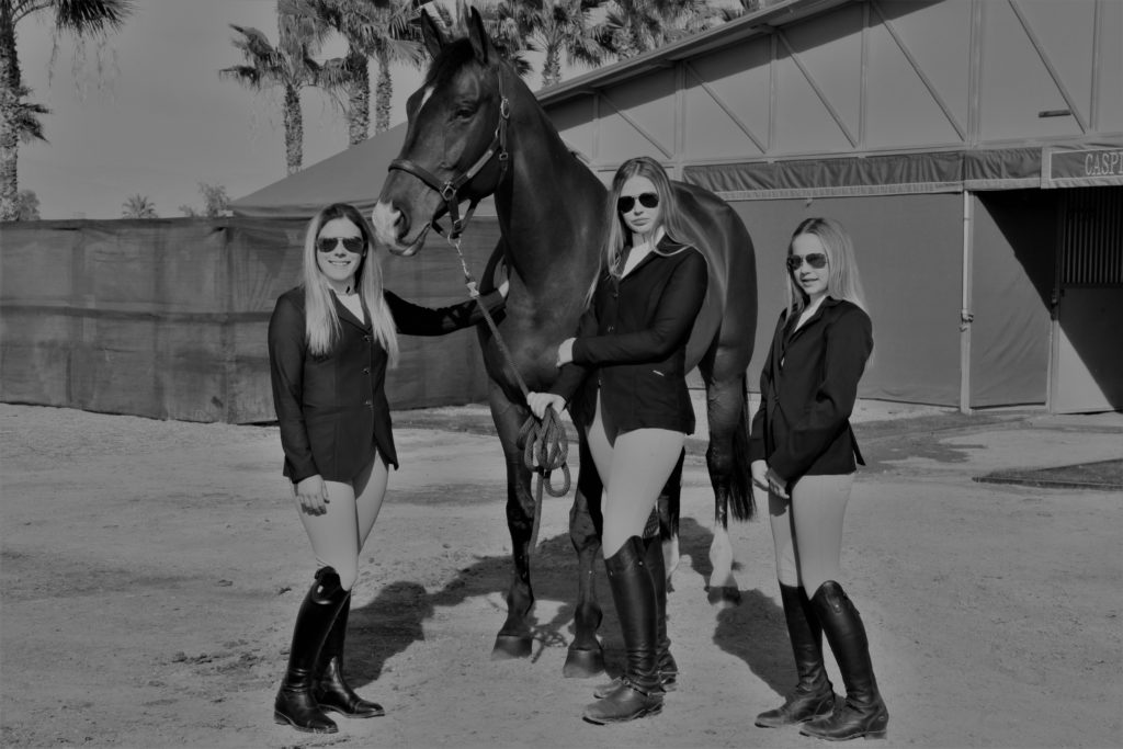 Ocala Equestrian Photographers
